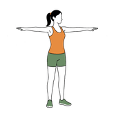 Illustration of a person doing Arm Circles