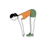 Illustration of a person doing Standing Forward Fold