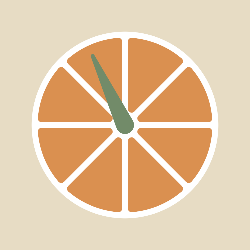 Zestimer app icon